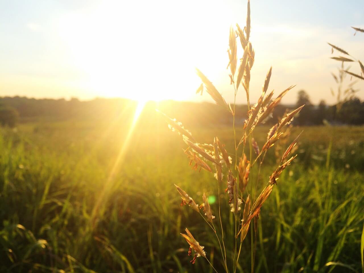 What Does Summer Mean To You EShipGlobal